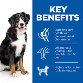 Hill's™ Science Plan Adult Large Breed Dry Dog Food Chicken Flavour