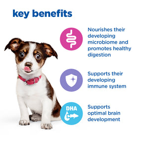 Hill's™ VET ESSENTIALS™ MULTI-BENEFIT Medium Dry Puppy Food with Chicken 8kg