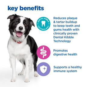 Hill's™ VET ESSENTIALS™ MULTI-BENEFIT + DENTAL Adult 1+ Medium and Large Breed Dry Dog Food with Chicken 13kg