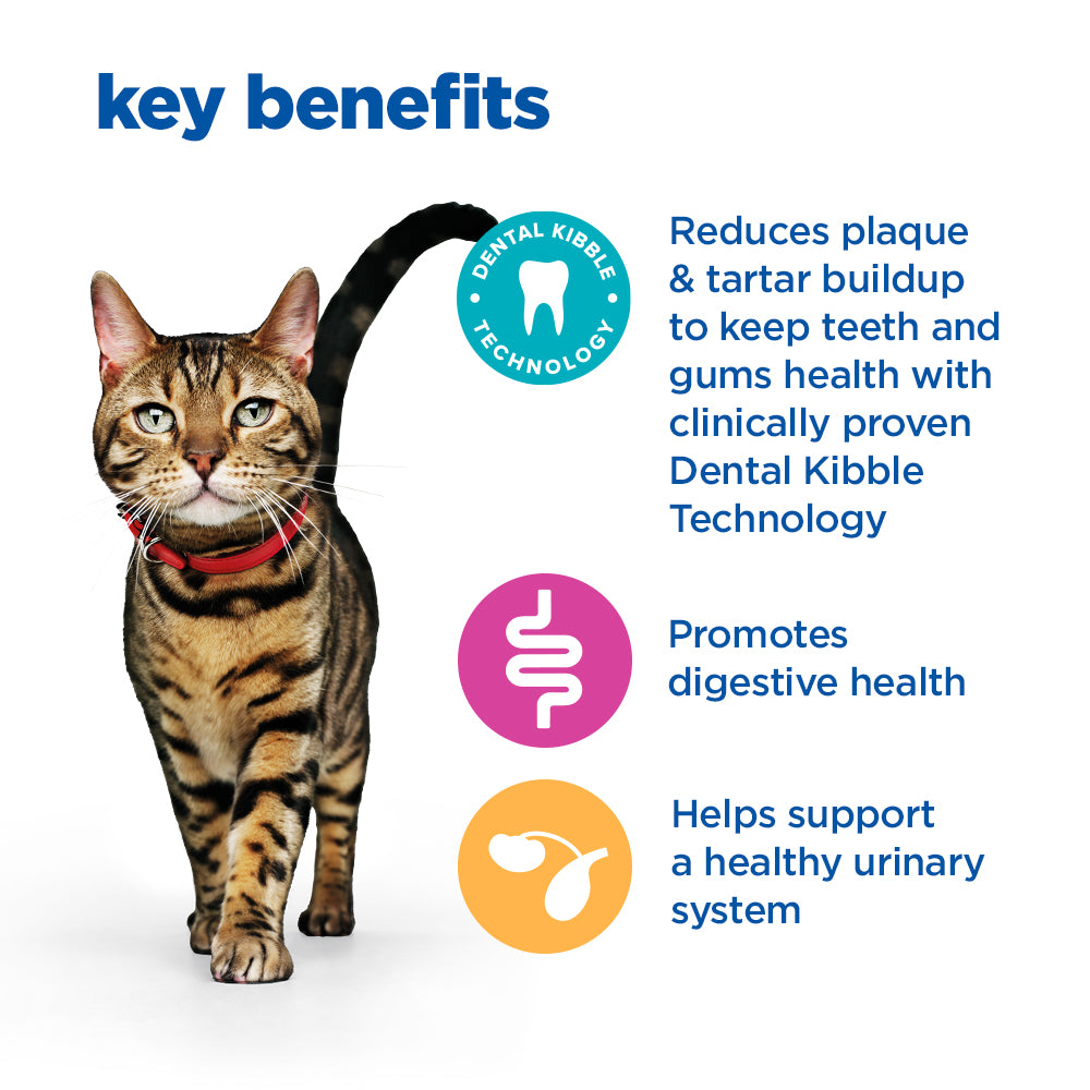 Hill's™ VET ESSENTIALS™ MULTI-BENEFIT + DENTAL Adult 1+ Dry Cat Food with Chicken