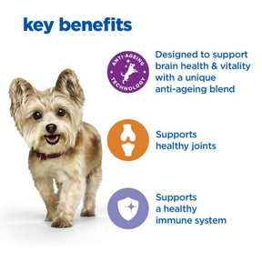 Hill’s Vet Essentials Multi-Benefit + Senior Health Small & Mini Breed Dog Food with Chicken