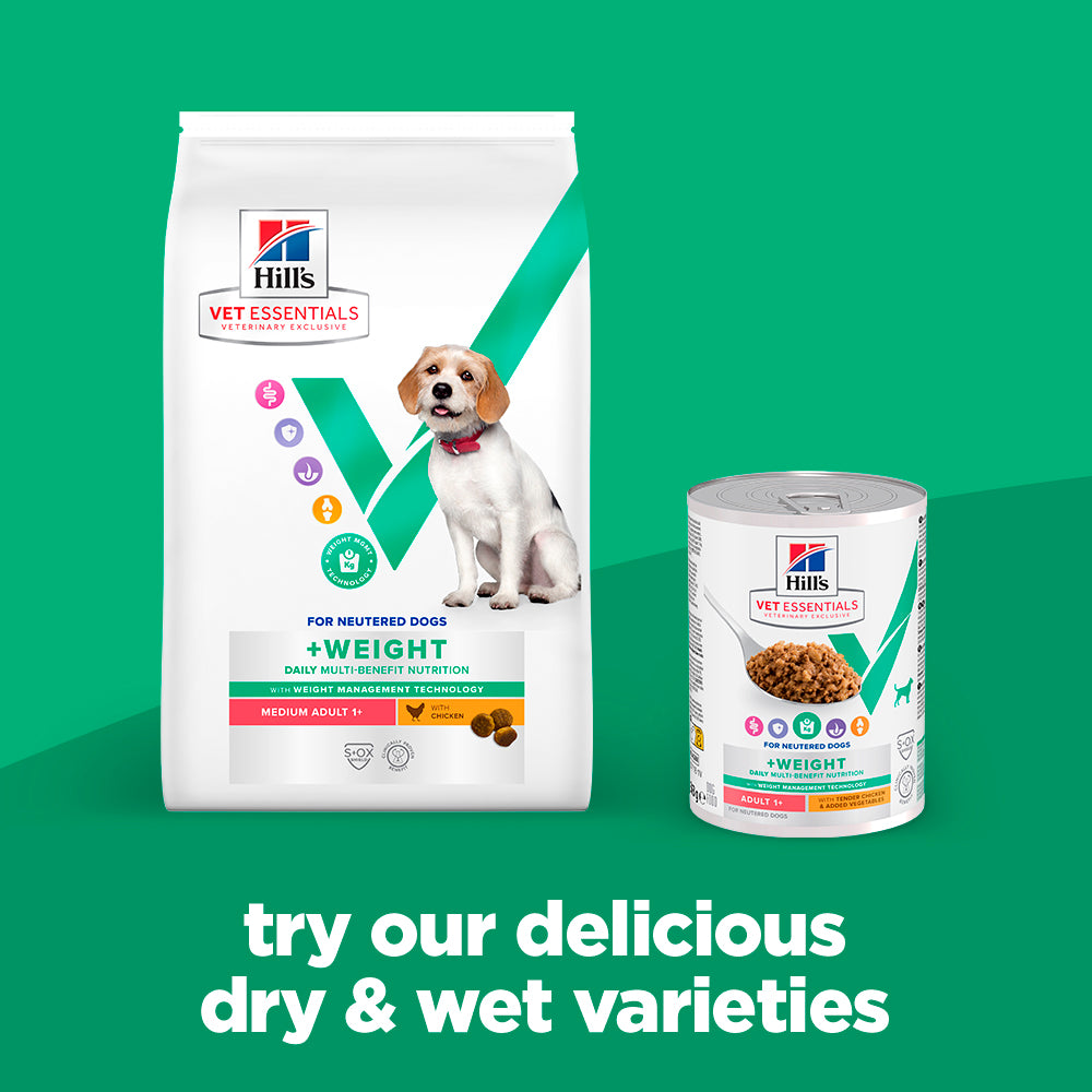 Hill's™ VET ESSENTIALS™ MULTI-BENEFIT + WEIGHT Adult 1+ Wet Dog Food with Tender Chicken