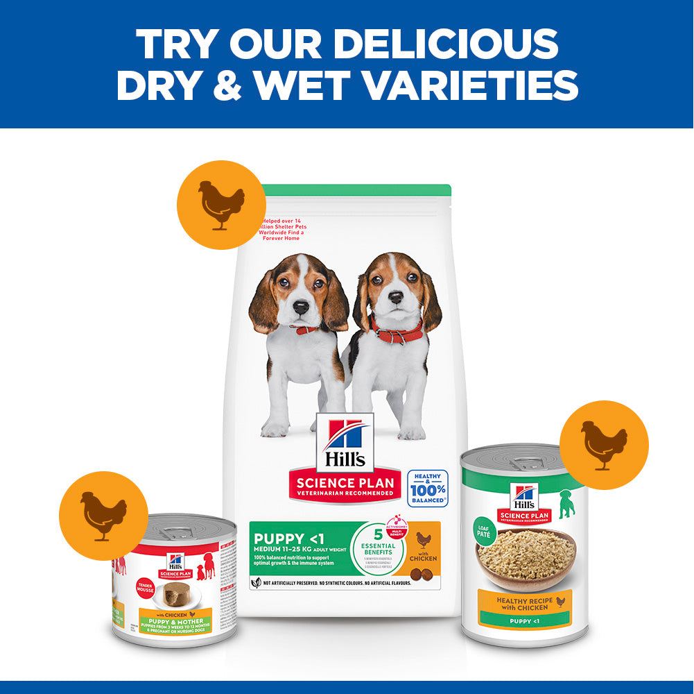 Hill's™ Science Plan Puppy Medium Dry Food Chicken Flavour