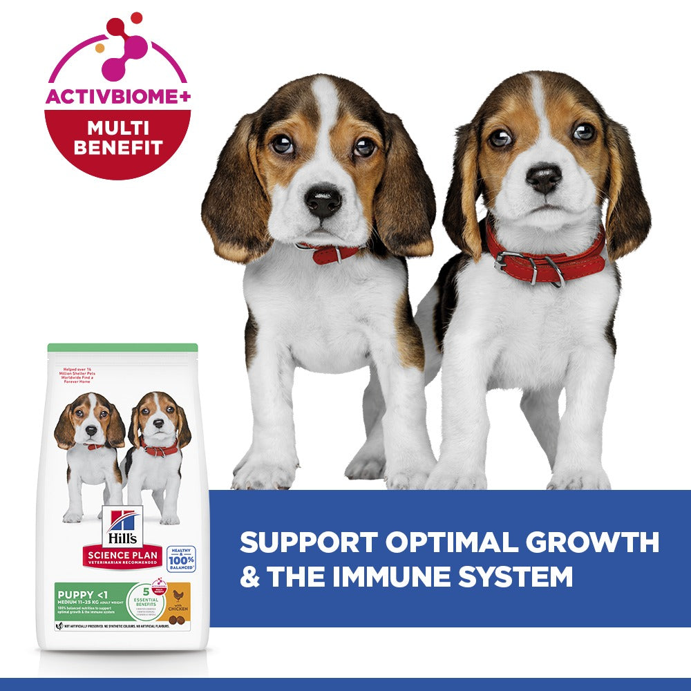 Hill's™ Science Plan Puppy Medium Dry Food Chicken Flavour