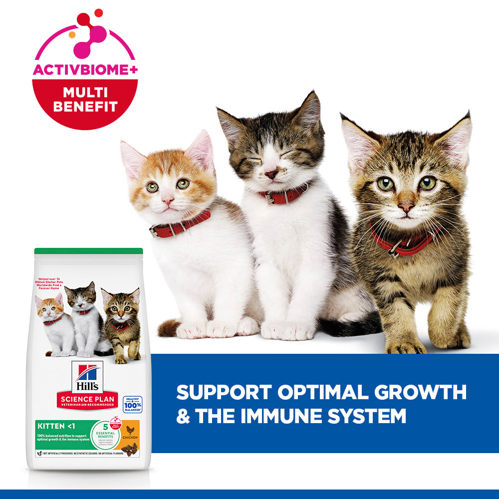 Hill's™ Science Plan Dry Kitten Chicken Flavour