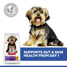 Hill's™ Science Plan Sensitive Stomach & Skin Adult Small & Mini Breed Dry Dog Food Chicken