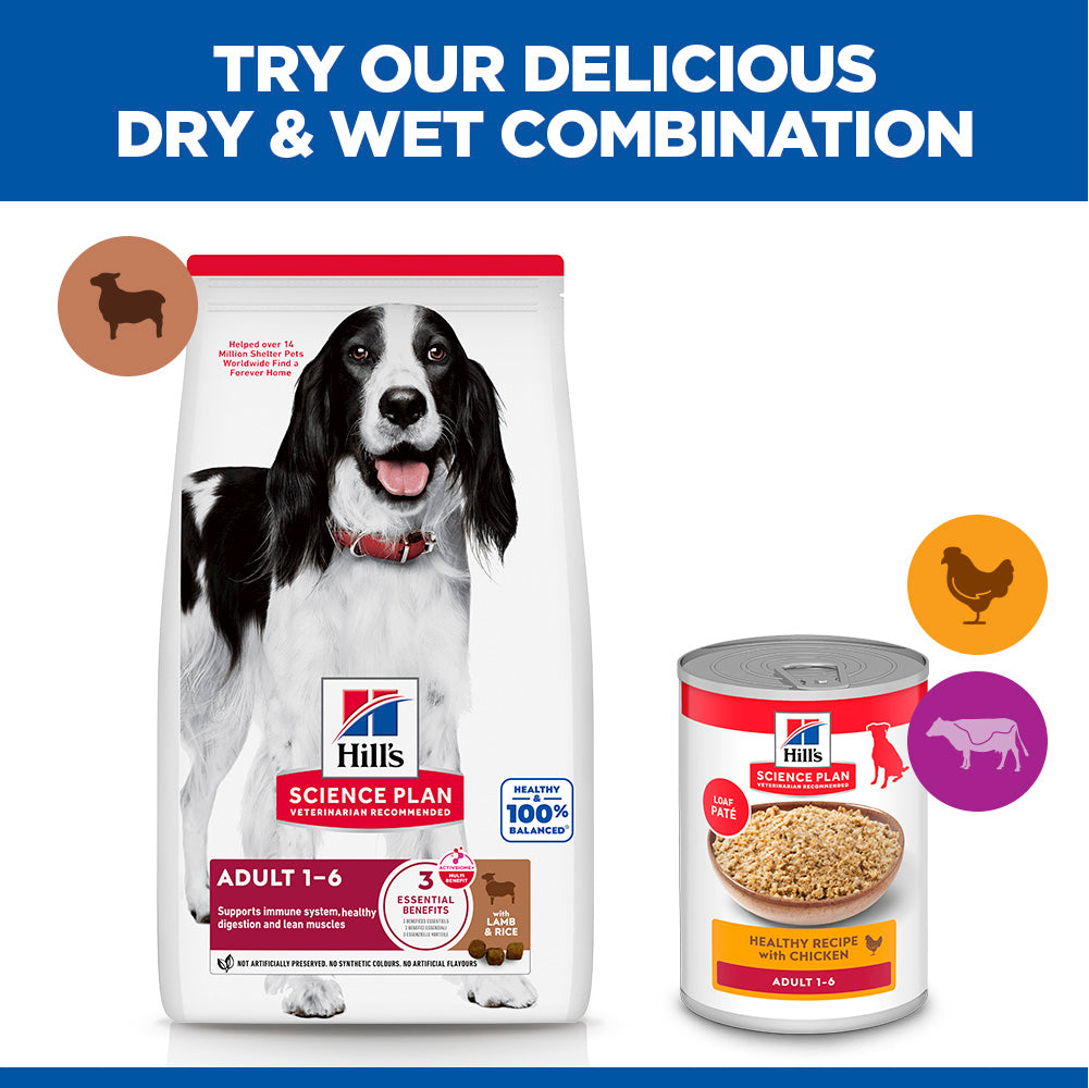 Hill's™ Science Plan Adult Medium Dry Dog Food Lamb & Rice Flavour