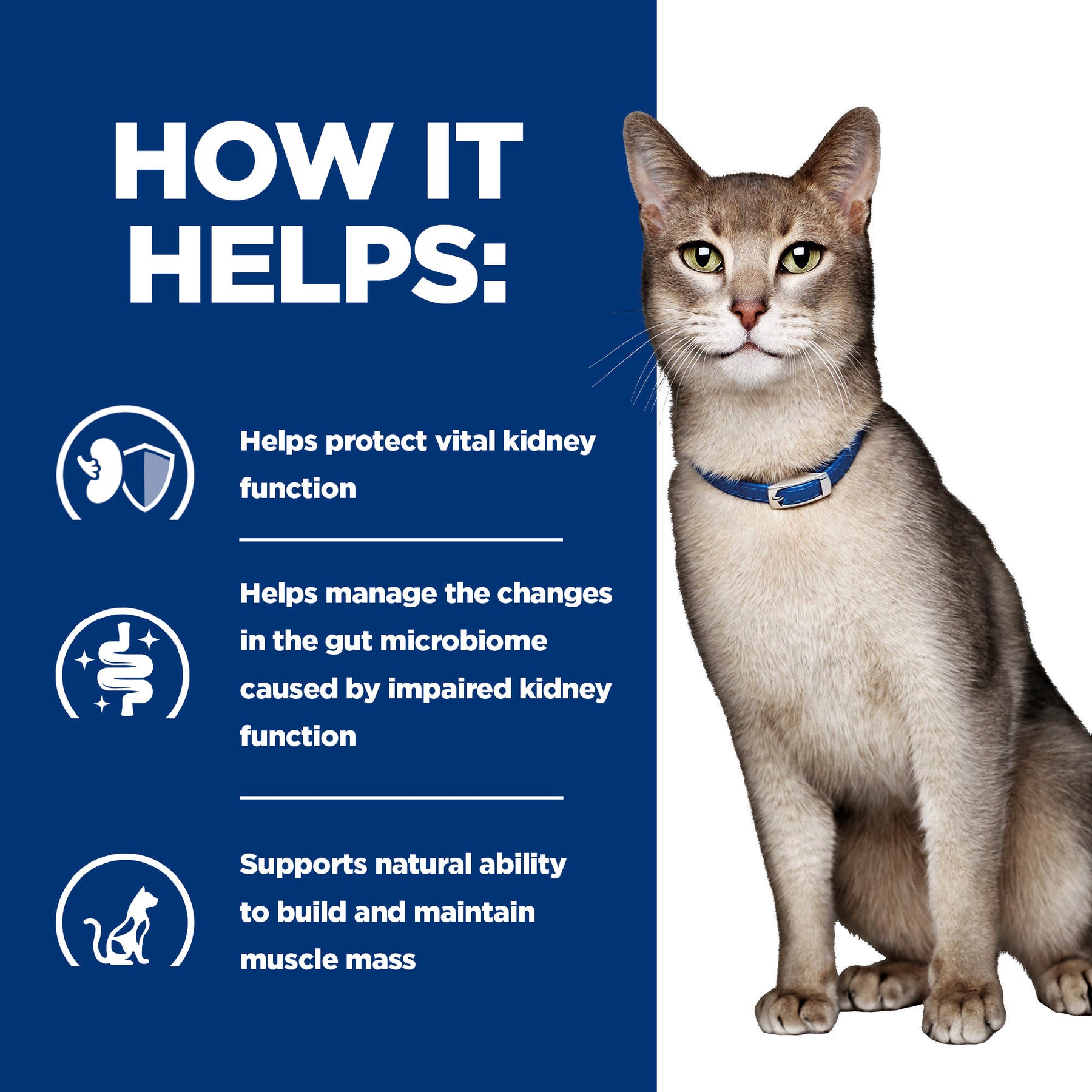 Hill's™ Prescription Diet™ k/d™ Feline with Salmon