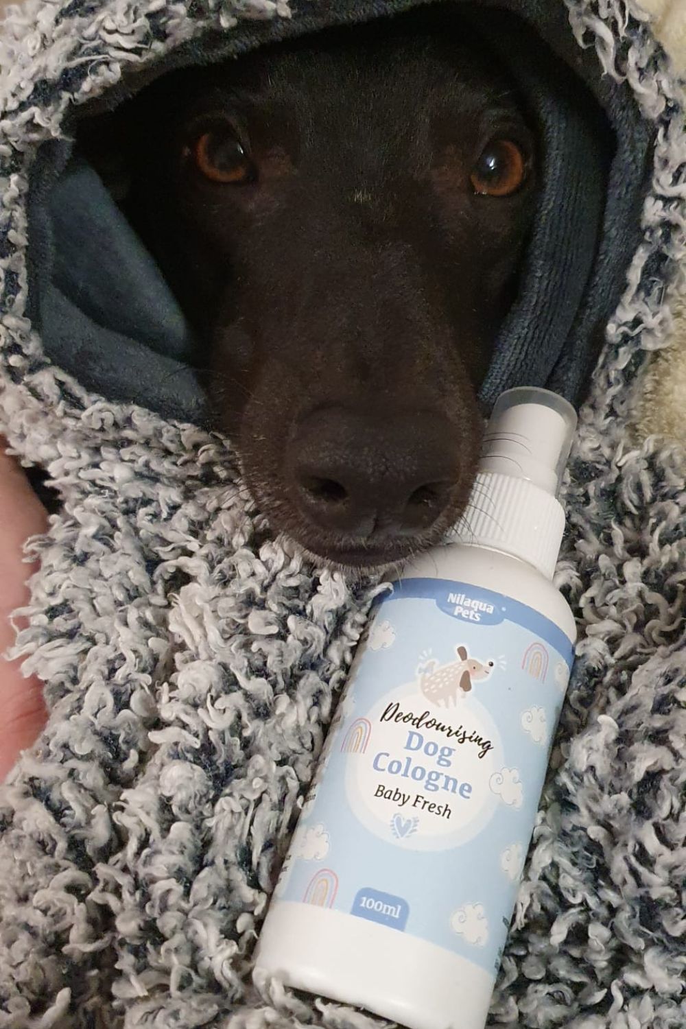 Nilaqua Baby Fresh Dog Cologne 100ml
