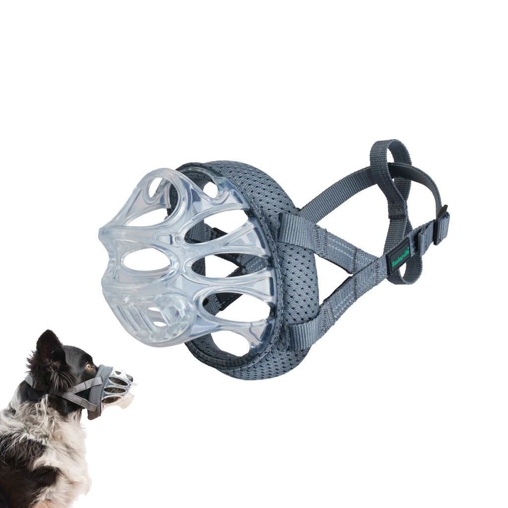 Baskerville Best Muzzle To Stop Dog Eating Baskerville INVISA