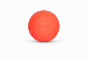 Coachi Boomi Ball (4 sizes/4 colours)