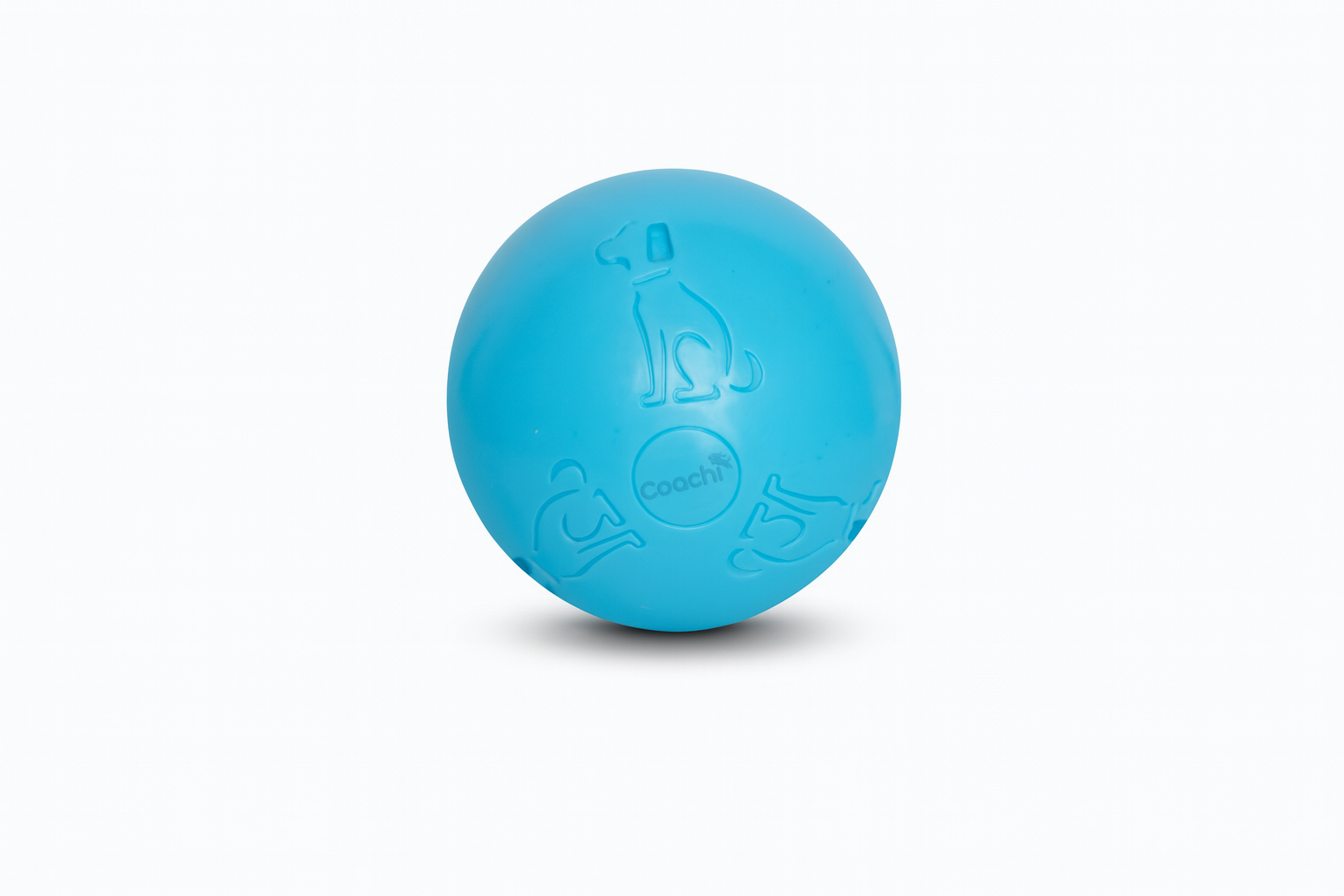 Coachi Boomi Ball (4 sizes/4 colours)