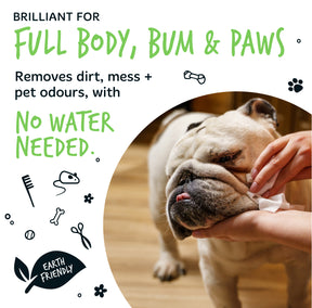 Bugalugs Fragrance Free Pet Wipes for Full Body, Bum & Paws (20 wipes)