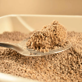 World’s Best Cat Litter Multiple Unscented (2 sizes)