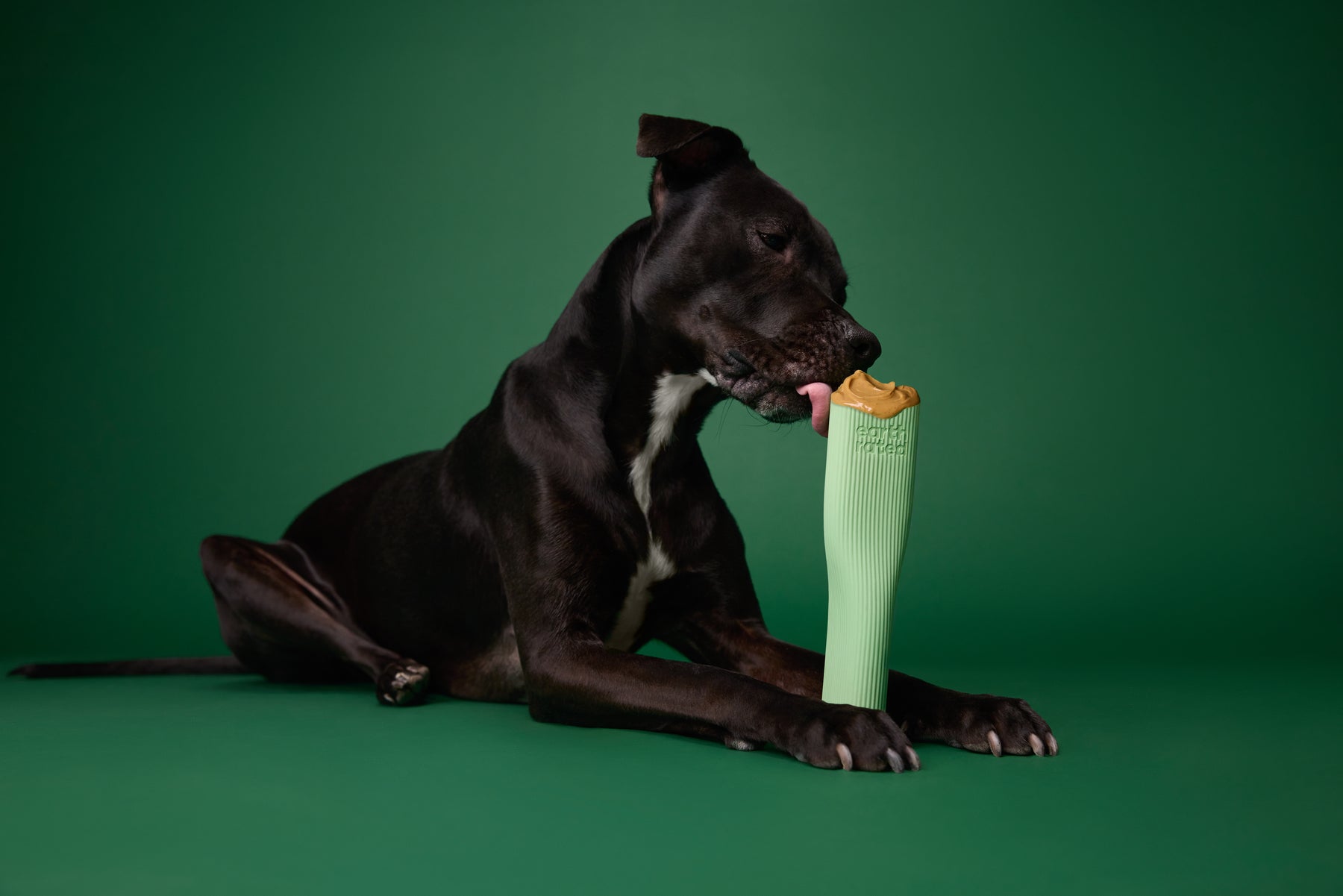 Earth Rated Chew Toy Rubber (2 sizes)