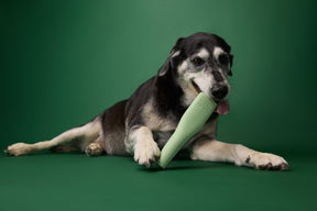 Earth Rated Chew Toy Rubber (2 sizes)