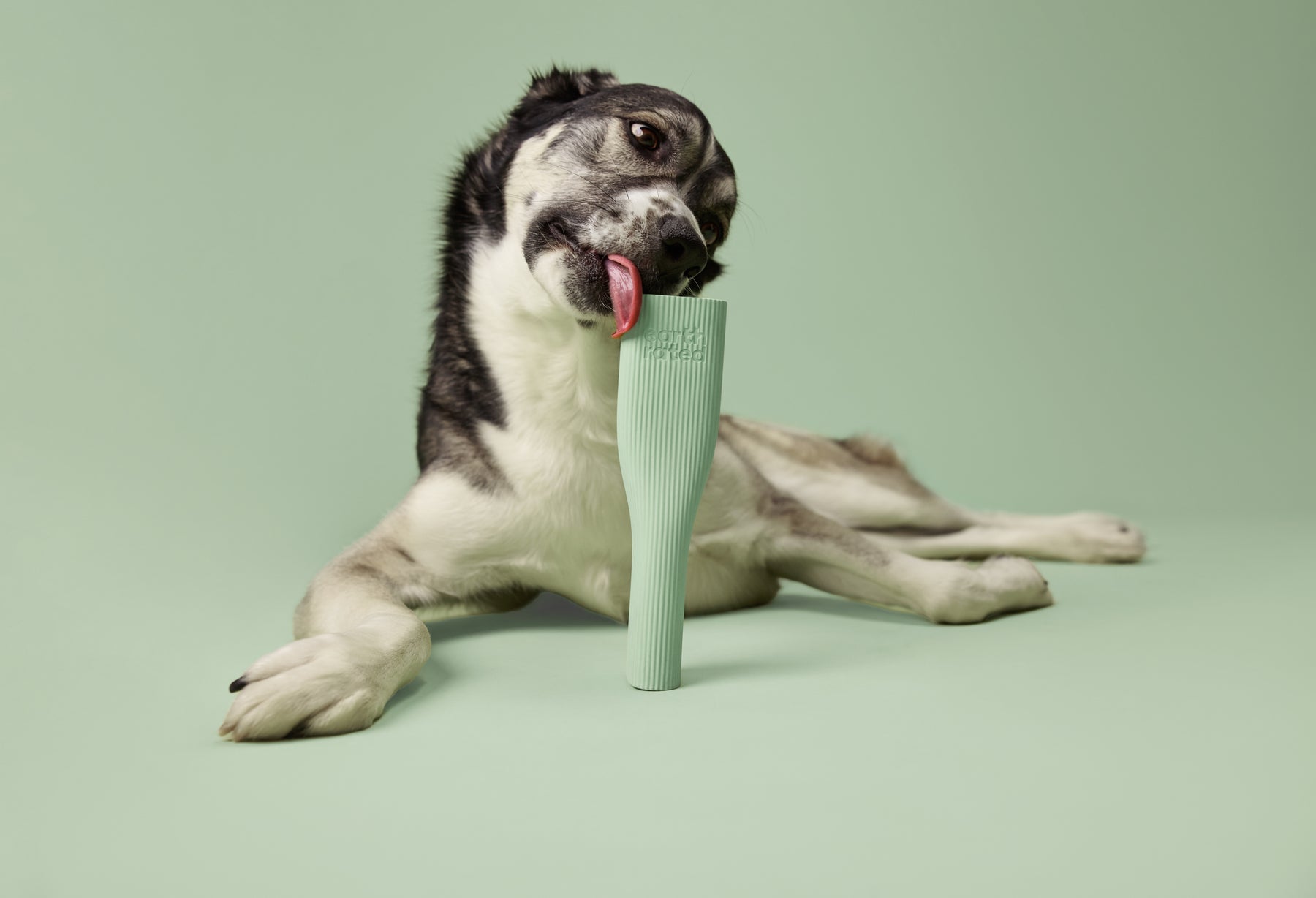 Earth Rated Chew Toy Rubber (2 sizes)