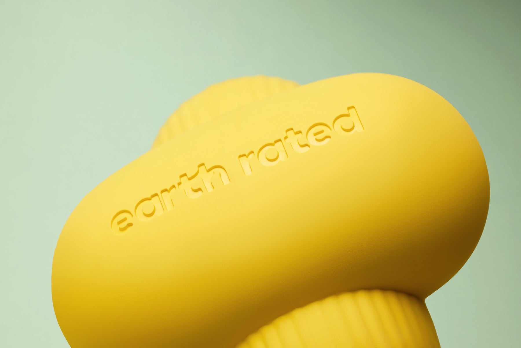 Earth Rated Fetch Toy Rubber (3 sizes)