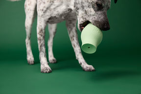 Earth Rated Treat Toy Rubber (2 sizes)