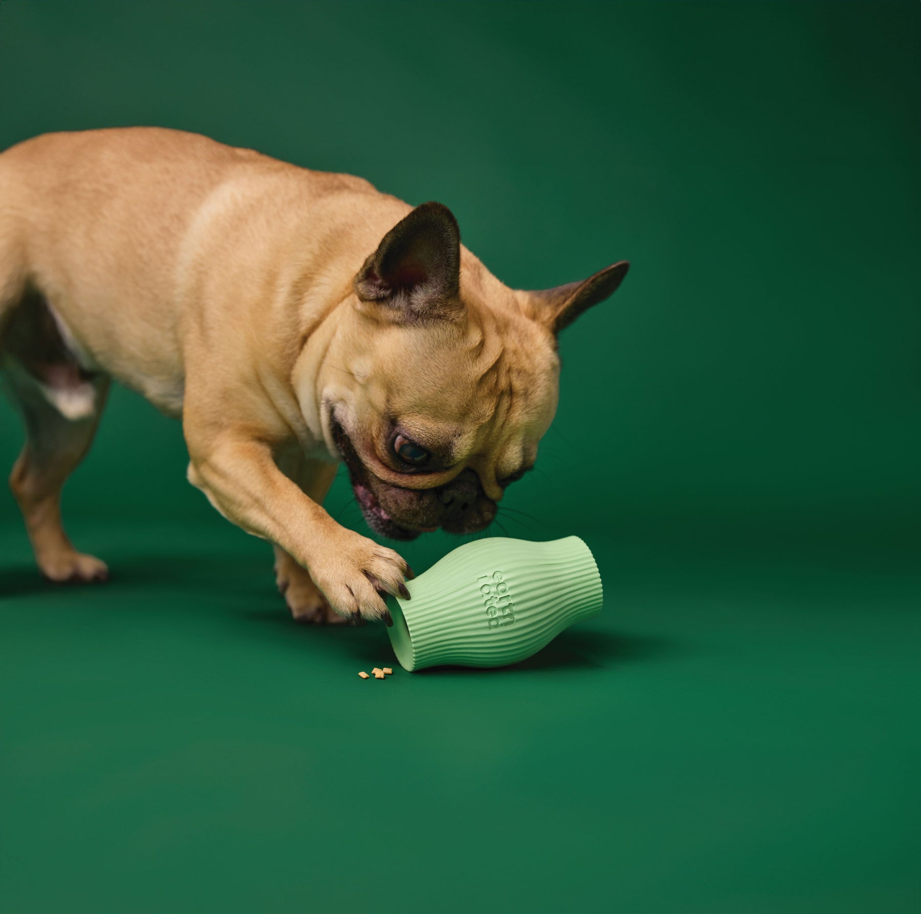 Earth Rated Treat Toy Rubber (2 sizes)