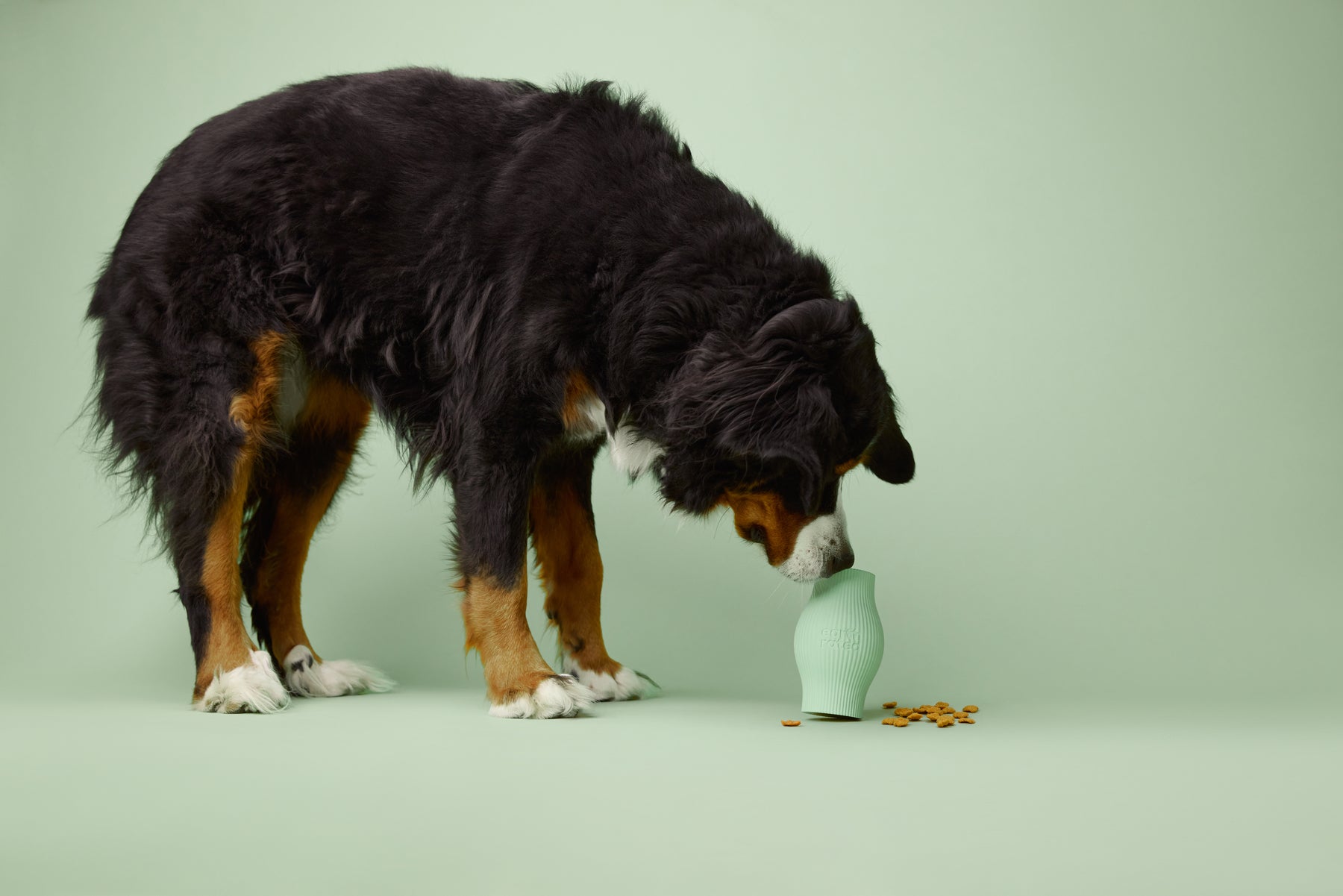 Earth Rated Treat Toy Rubber (2 sizes)