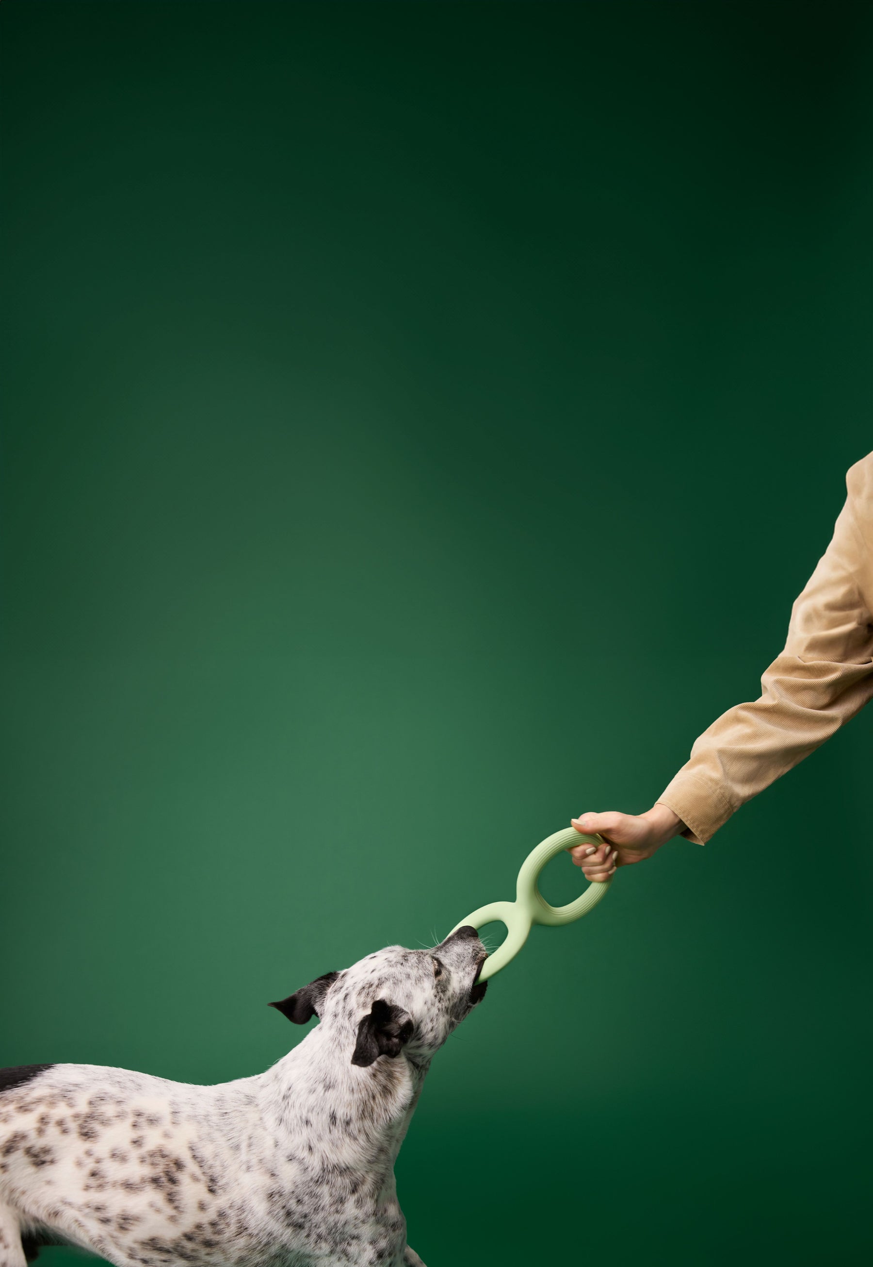 Earth Rated Tug Toy Rubber (2 sizes)