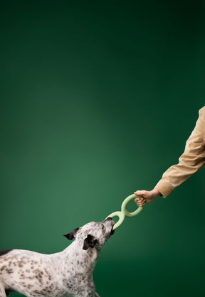 Earth Rated Tug Toy Rubber (2 sizes)