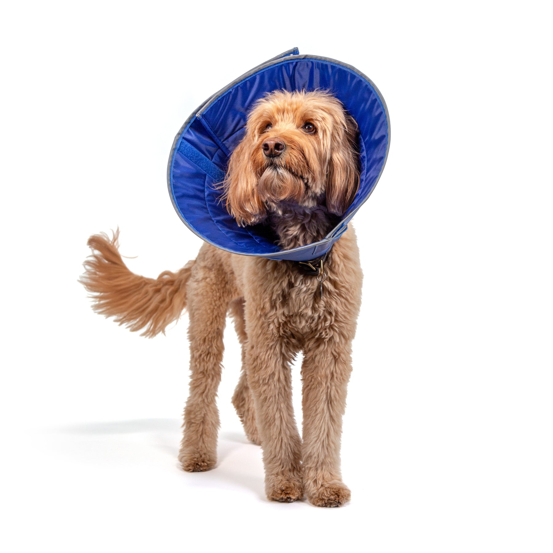 Kvp Calmer Collar (3 sizes)