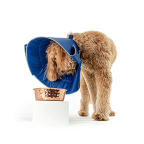 Kvp Calmer Collar (3 sizes)