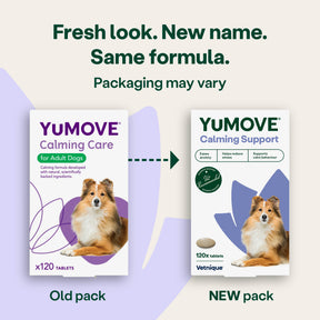 YuMOVE Calming Support Dog