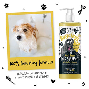 Bugalugs Medi Fresh Dog Shampoo