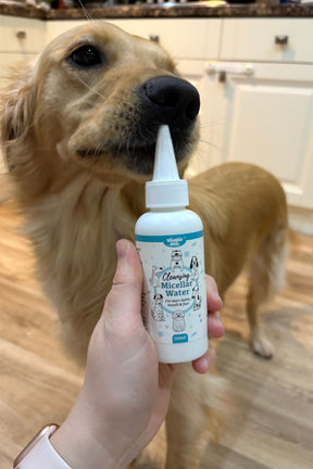 Nilaqua Micellar Water Kit For Sensitive Dog Faces