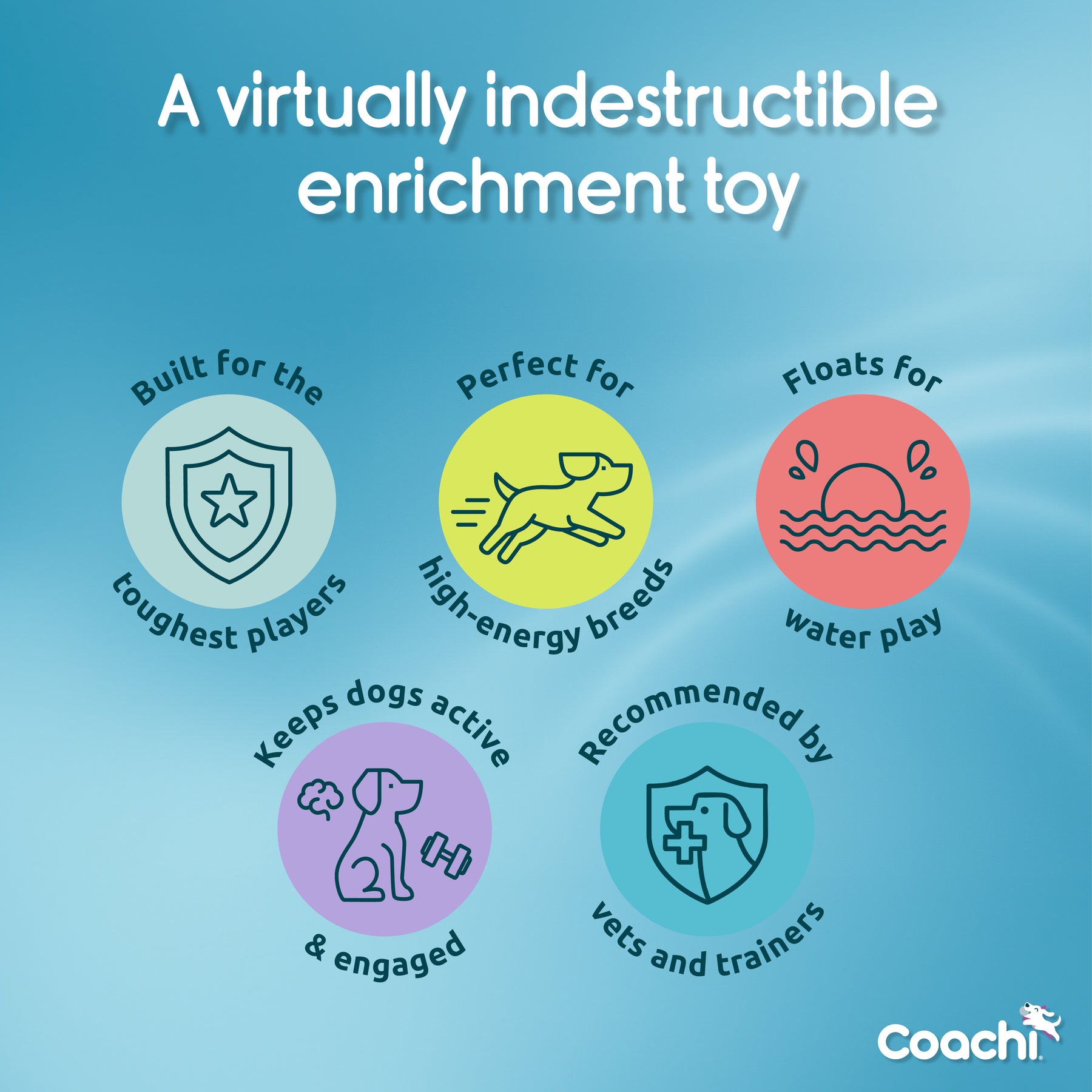 Coachi Boomi Ball (4 sizes/4 colours)
