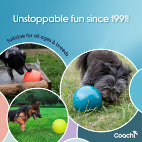 Coachi Boomi Ball (4 sizes/4 colours)