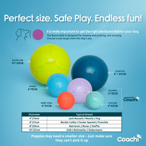 Coachi Boomi Ball (4 sizes/4 colours)