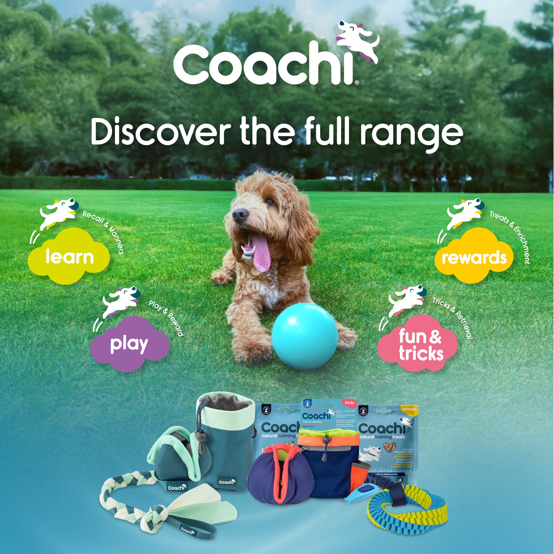 Coachi Boomi Ball (4 sizes/4 colours)