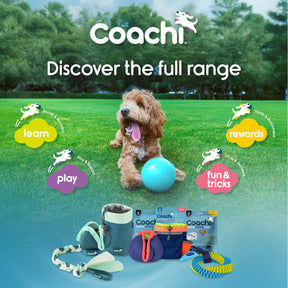 Coachi Boomi Ball (4 sizes/4 colours)