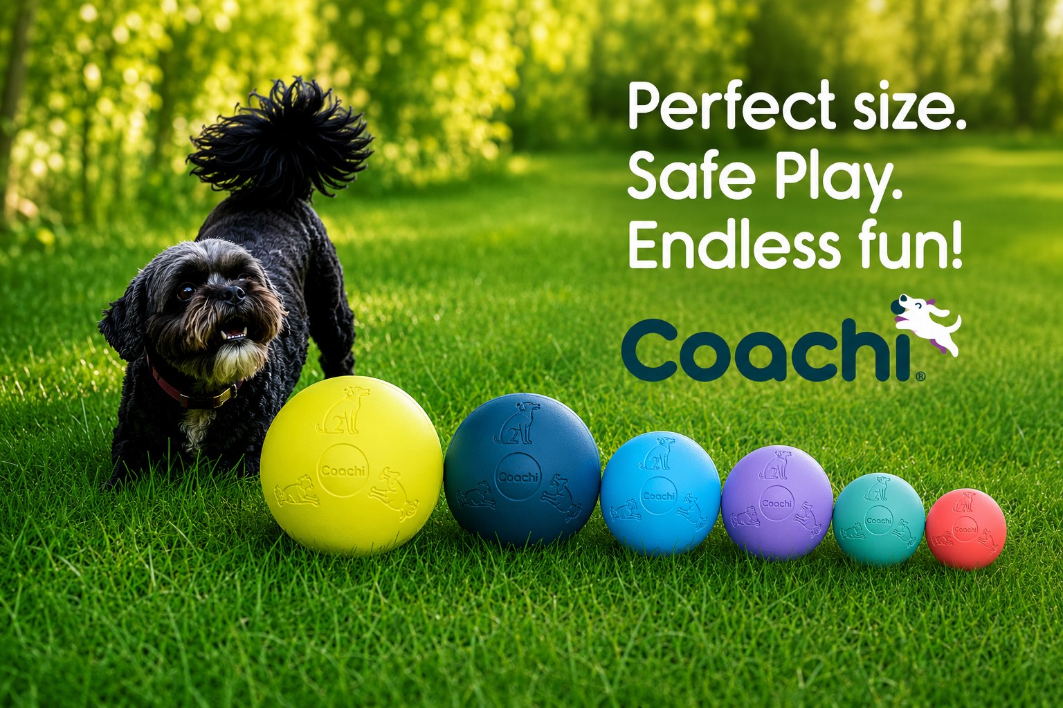 Coachi Boomi Ball (4 sizes/4 colours)