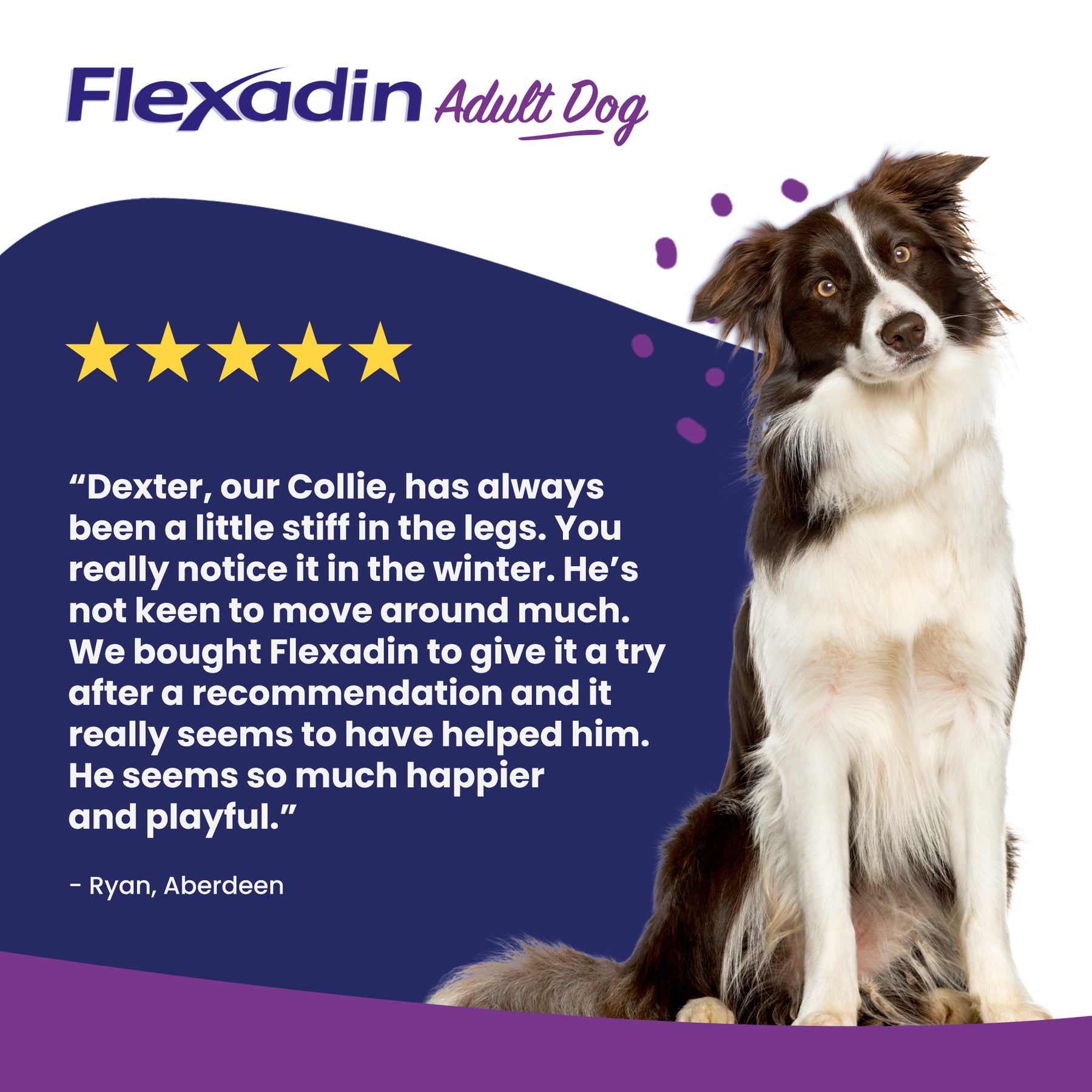 Vetoquinol Flexadin Advanced Dog Chews
