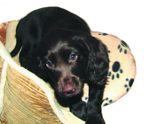 Snuggle Safe Microwave Heatpad For Dogs & Puppies