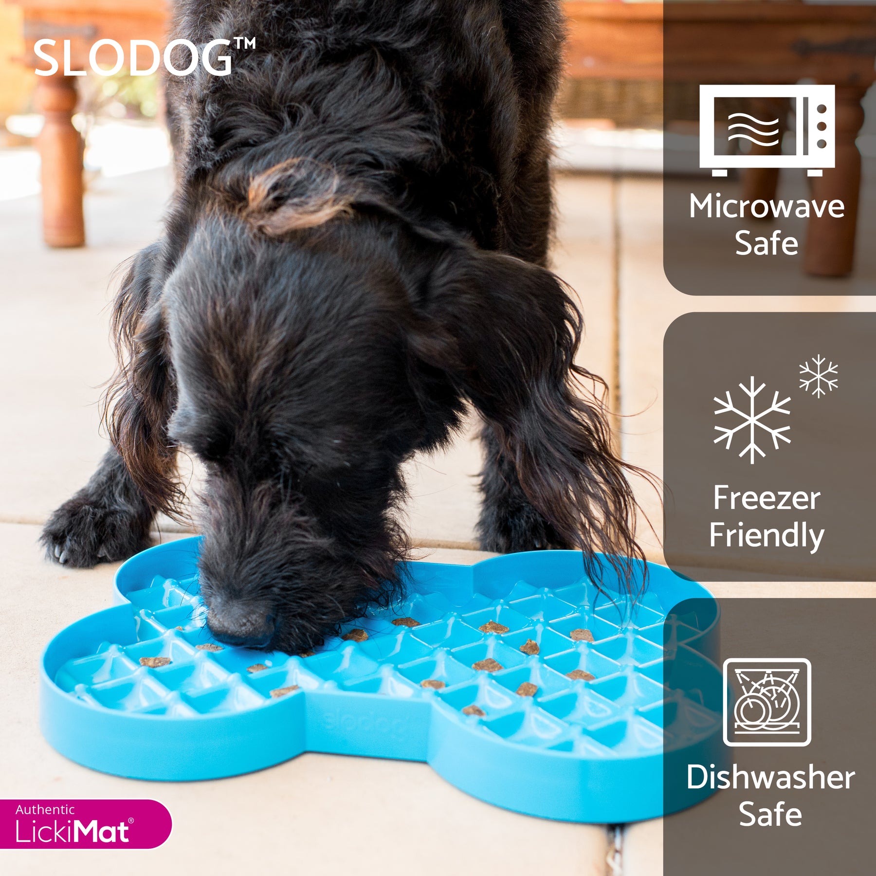 Dog interacting with a blue SLODOG product on a wooden floor.