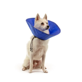 EZ Soft Collar (5 sizes)