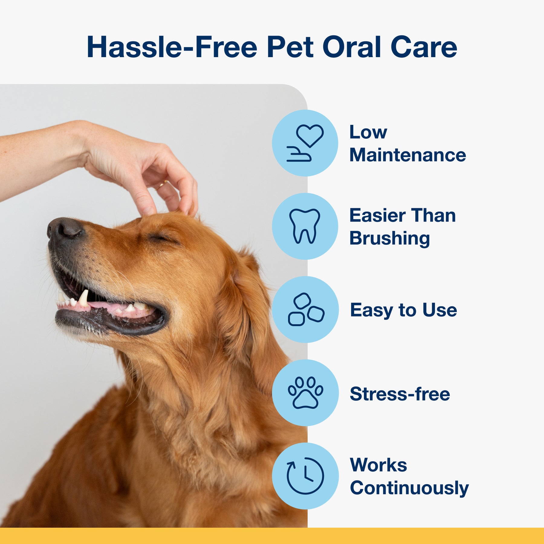 Plaque Off Dental Soft Chews Dogs Large 60 Chews