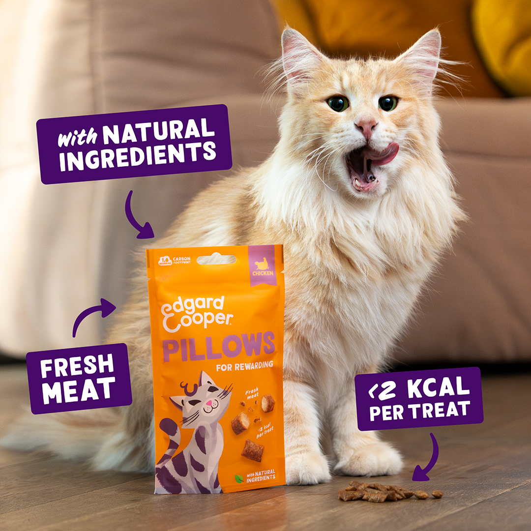 Edgard & Cooper Cat Chicken Pillows 60g