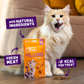 Edgard & Cooper Cat Chicken Pillows 60g