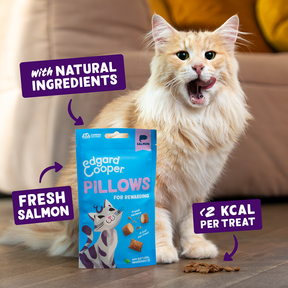 Edgard & Cooper Cat Salmon Pillows 60g