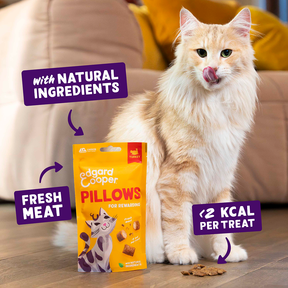 Edgard & Cooper Cat Turkey Pillows 60g