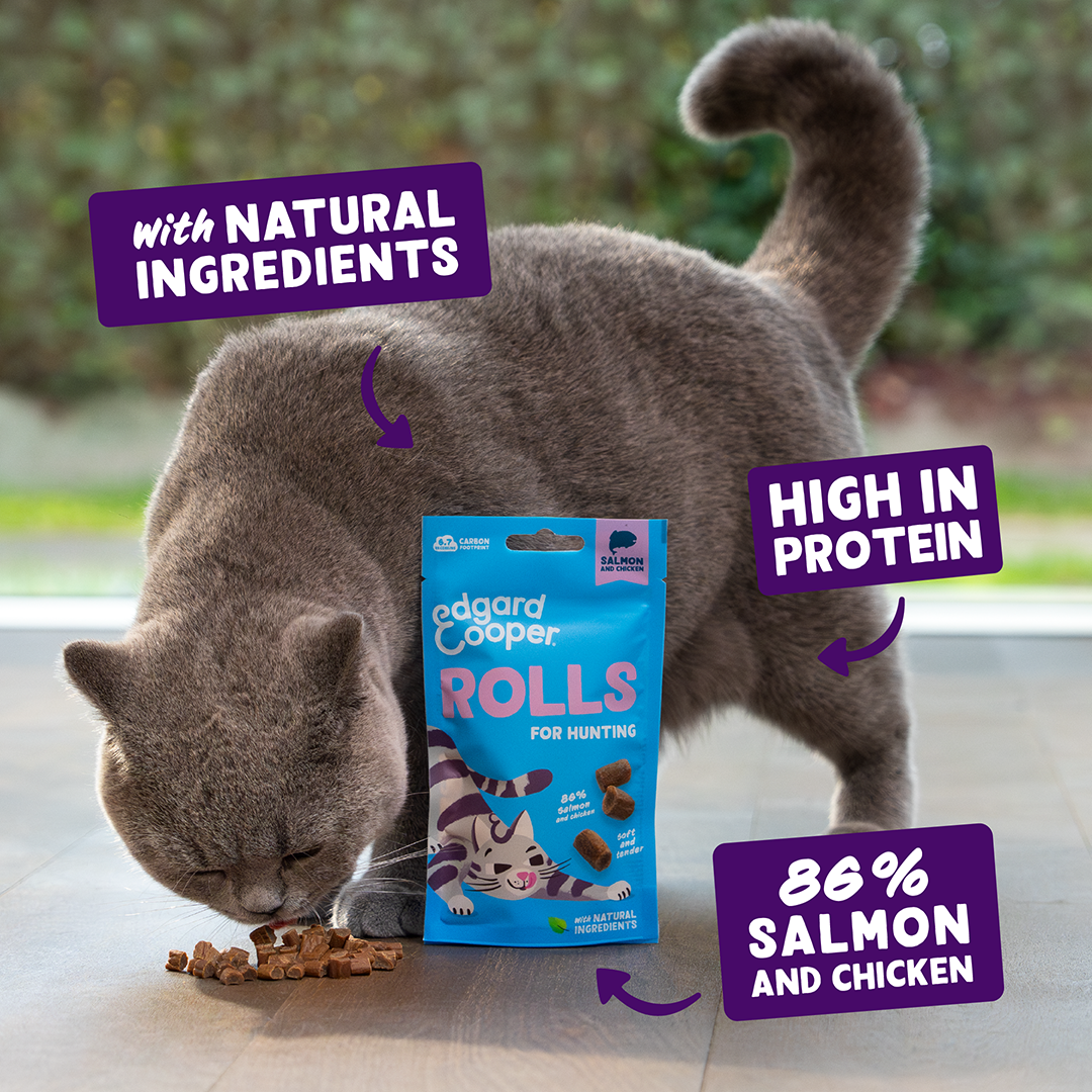 Edgard & Cooper Cat Salmon & Chicken Rolls 45g