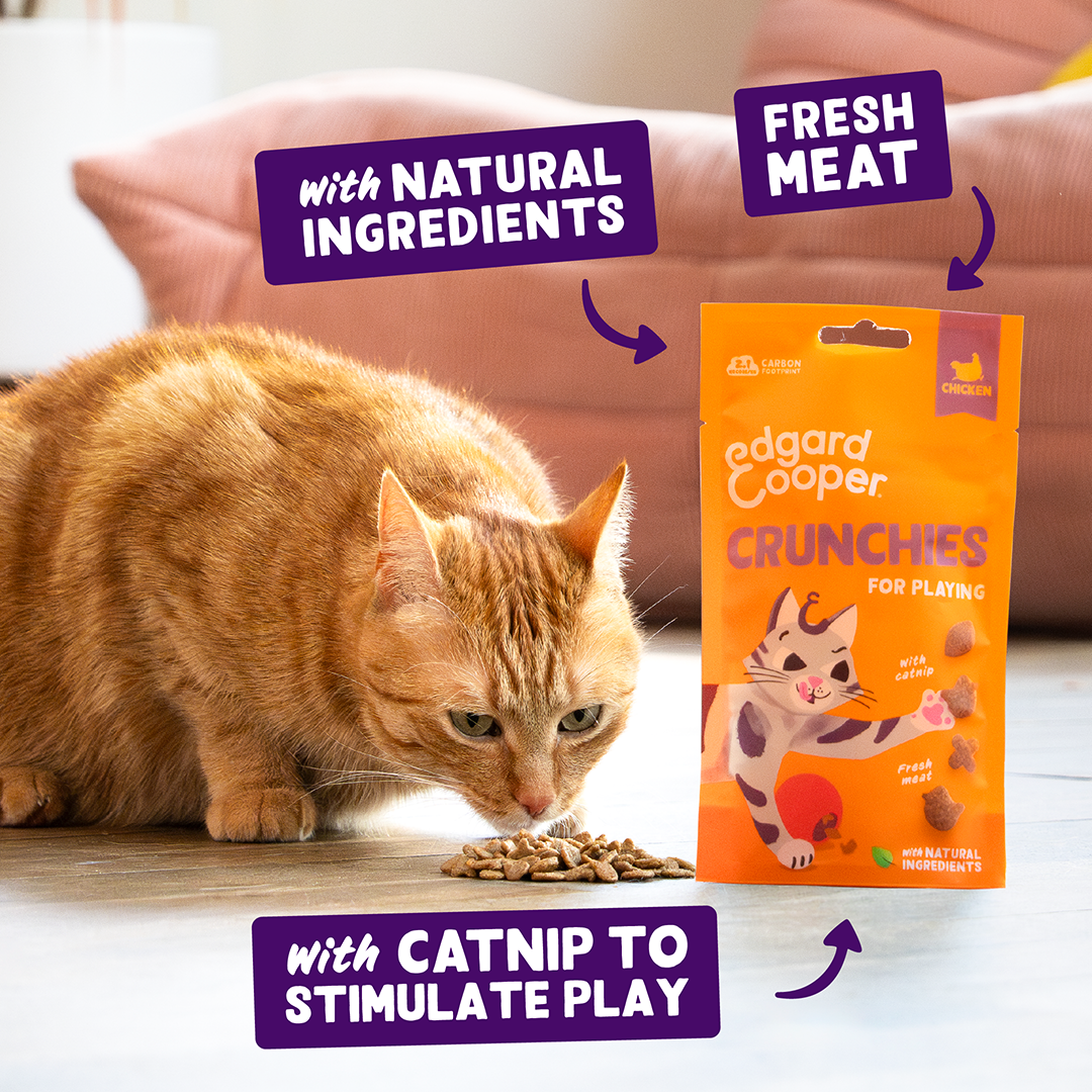 Edgard & Cooper Cat Chicken Crunchies 50g