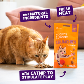 Edgard & Cooper Cat Chicken Crunchies 50g